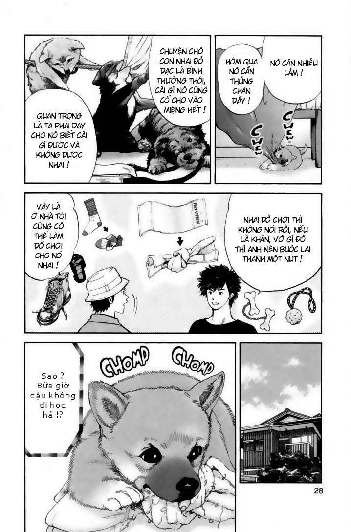 cô nàng yêu chó chapter 21 4