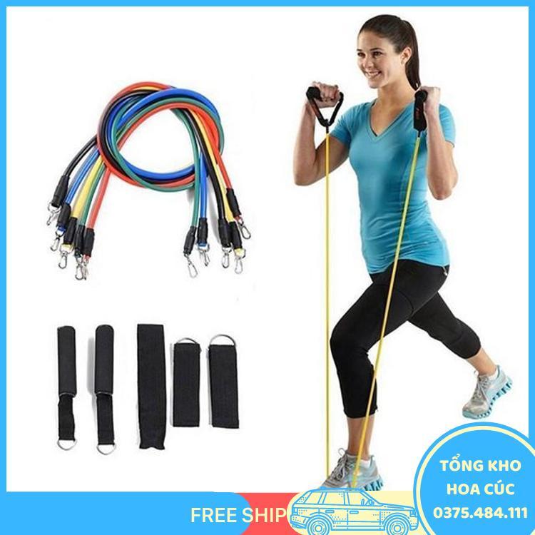 Bộ 5 Dây Ngũ Sắc Tập Full Body I Dụng Cụ Tập Gym Cao Cấp Kunosport Zn03 - Vận Chuyển Miễn Phí Toàn Quốc