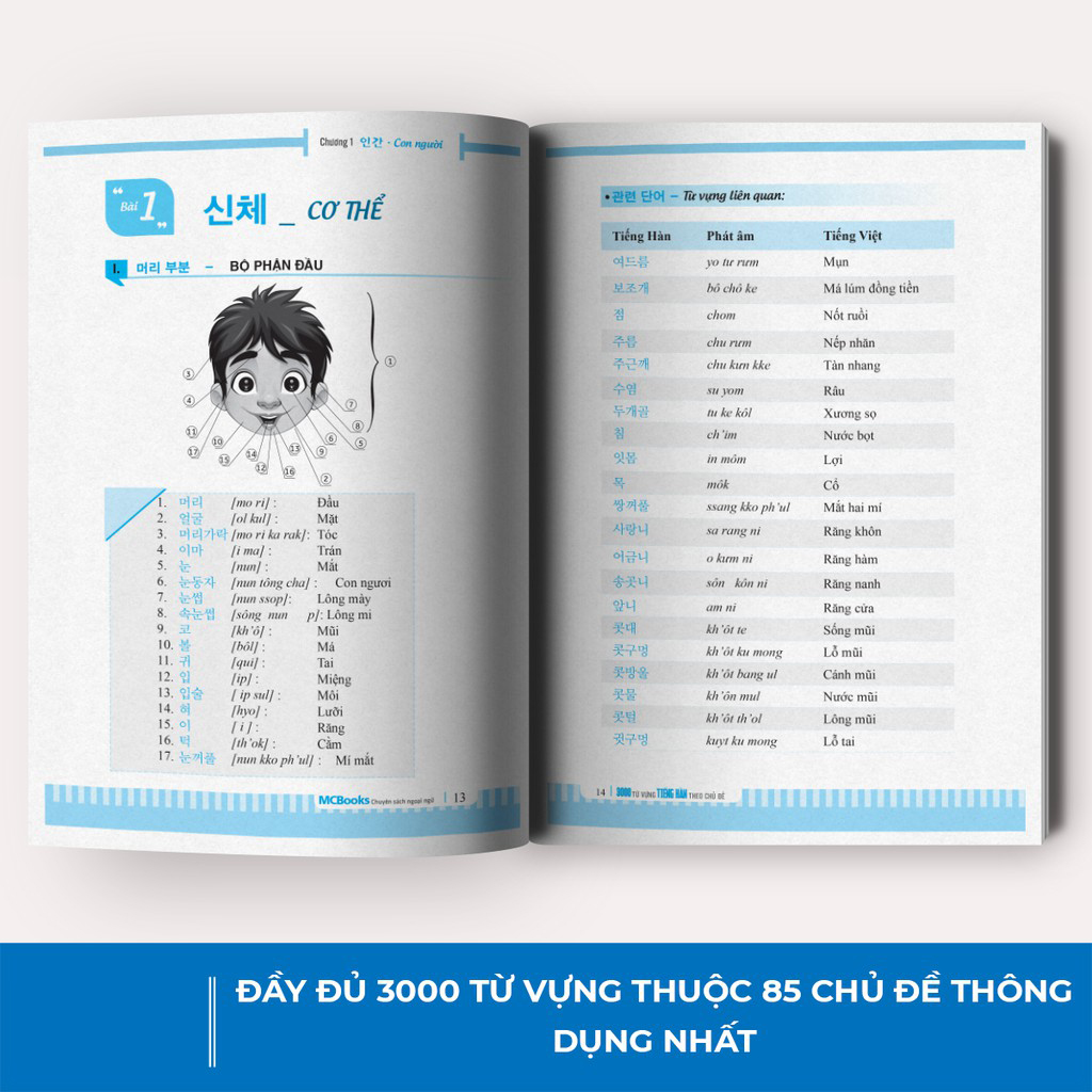 Sách 3000 Từ Vựng Tiếng Hàn Theo Chủ Đề - Làm Chủ Từ Vựng Tiếng Hàn Sau 3 Tháng