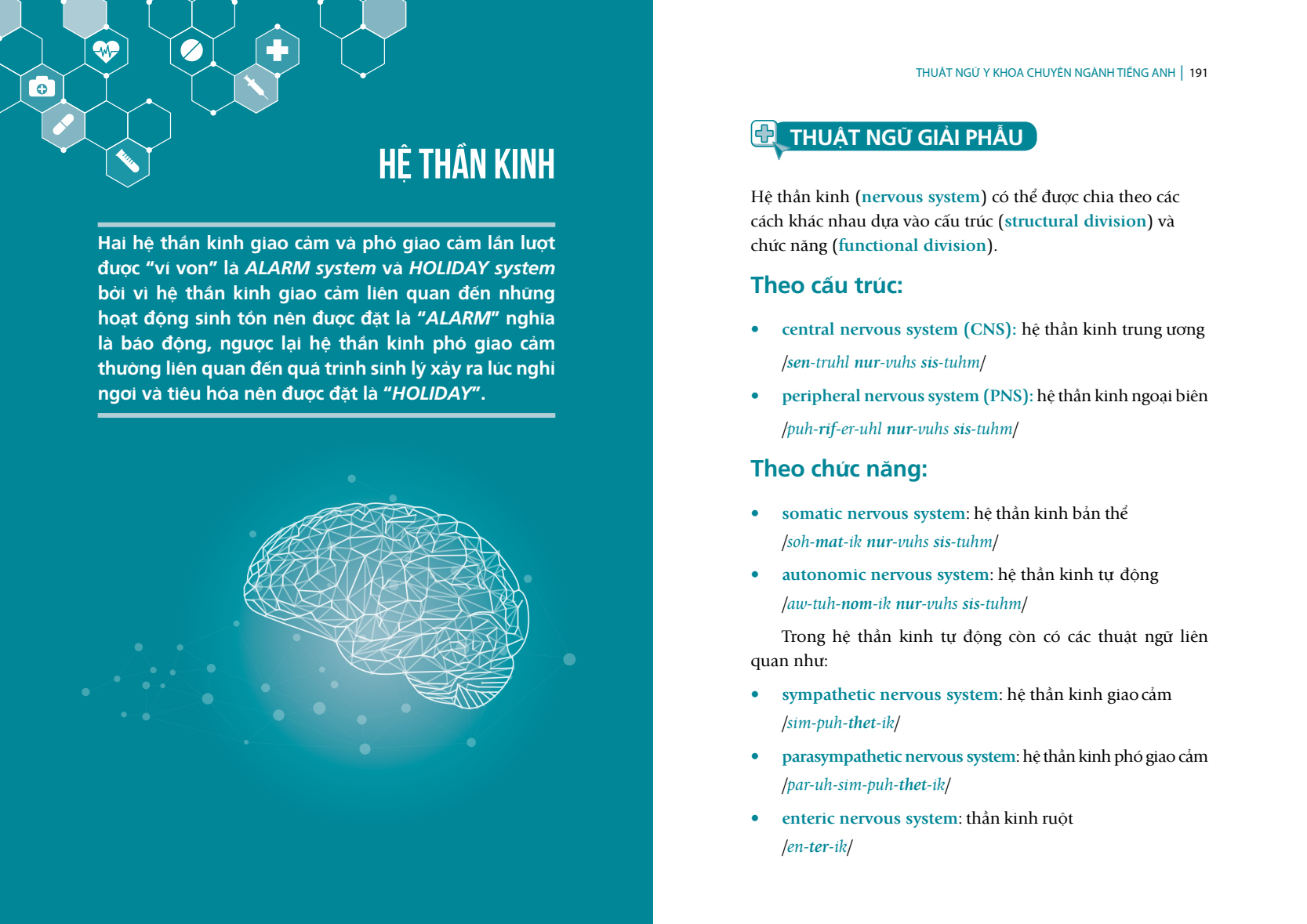 Thuật Ngữ Tiếng Anh Chuyên Ngành Y Khoa - Cho người mới bắt đầu (Medical Terminology)