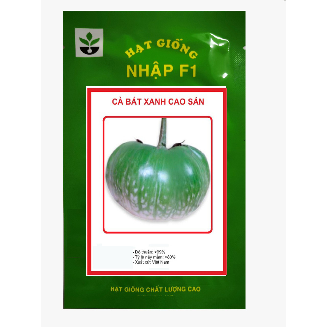 Hạt giống cà bát xanh 100 hạt