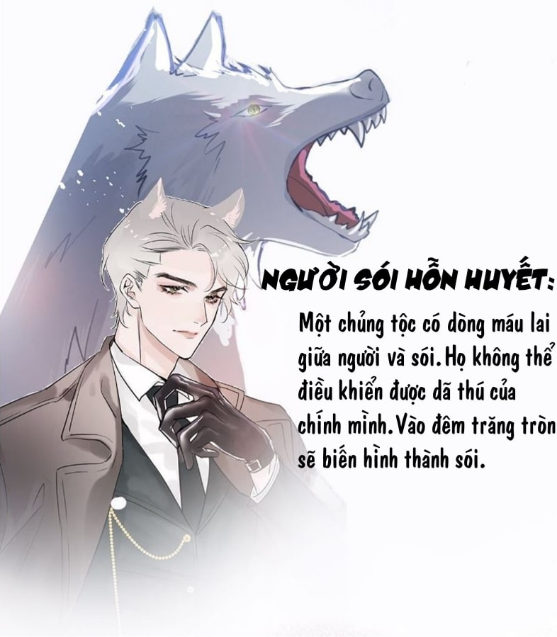 lang lang thượng khẩu chapter 0.6 6