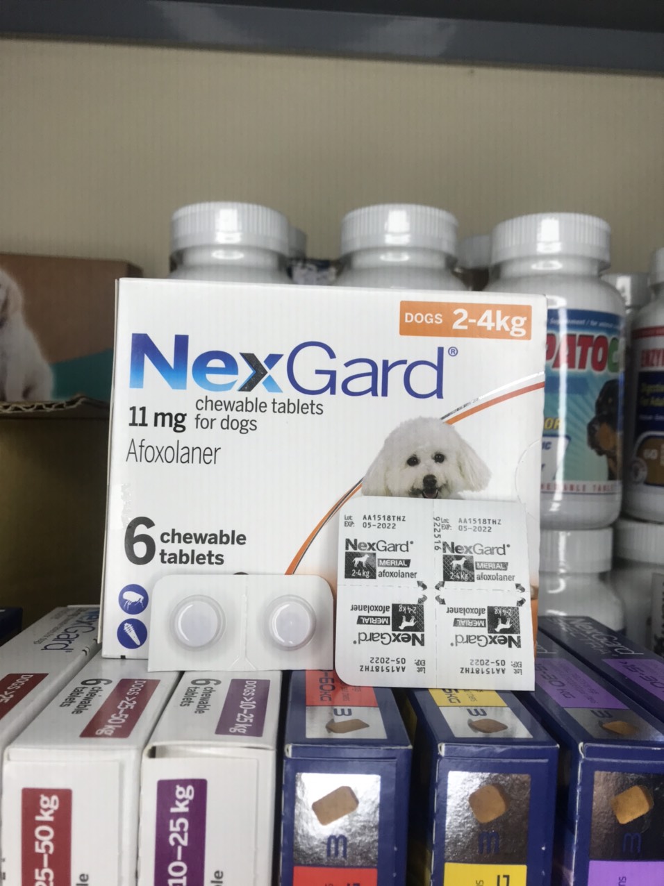 Một Viên (1V) Nexgard Ve Rận Trên Chó