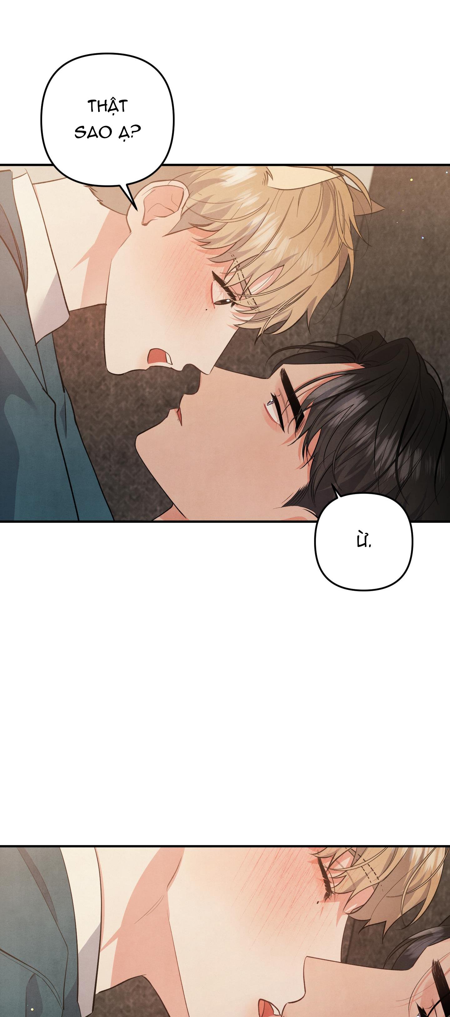 mối quan hệ ngu ngốc chapter 55 17