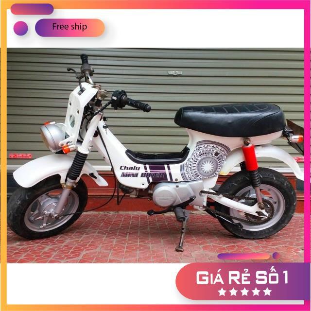 Tem rời dành cho chaly mẫu trống đồng in decal trong
