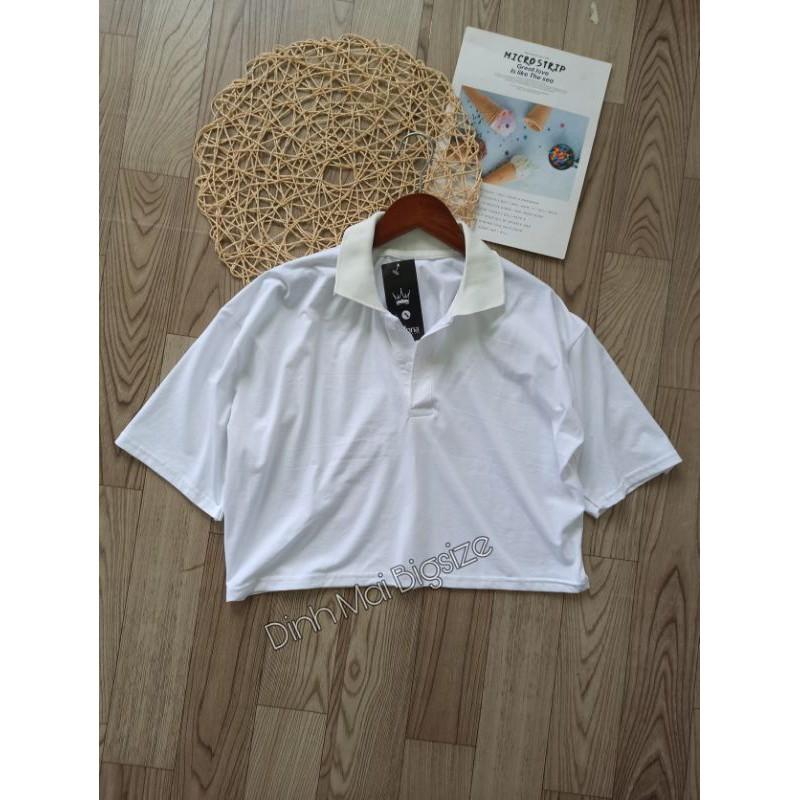 Áo croptop có cổ bigsize 60-95kg