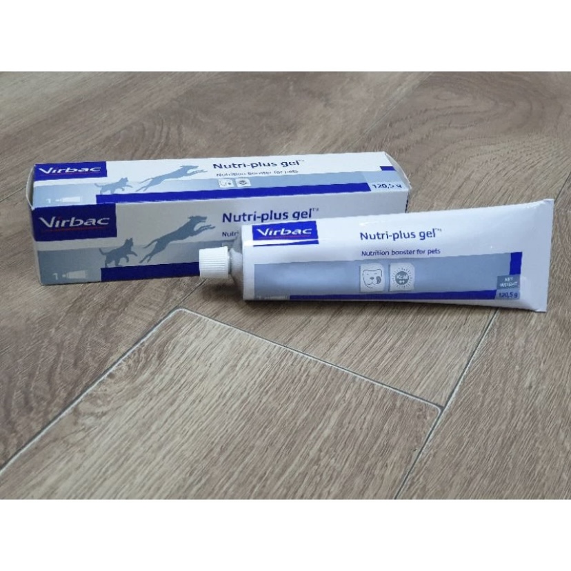 Gel dinh dưỡng  cho chó mèo