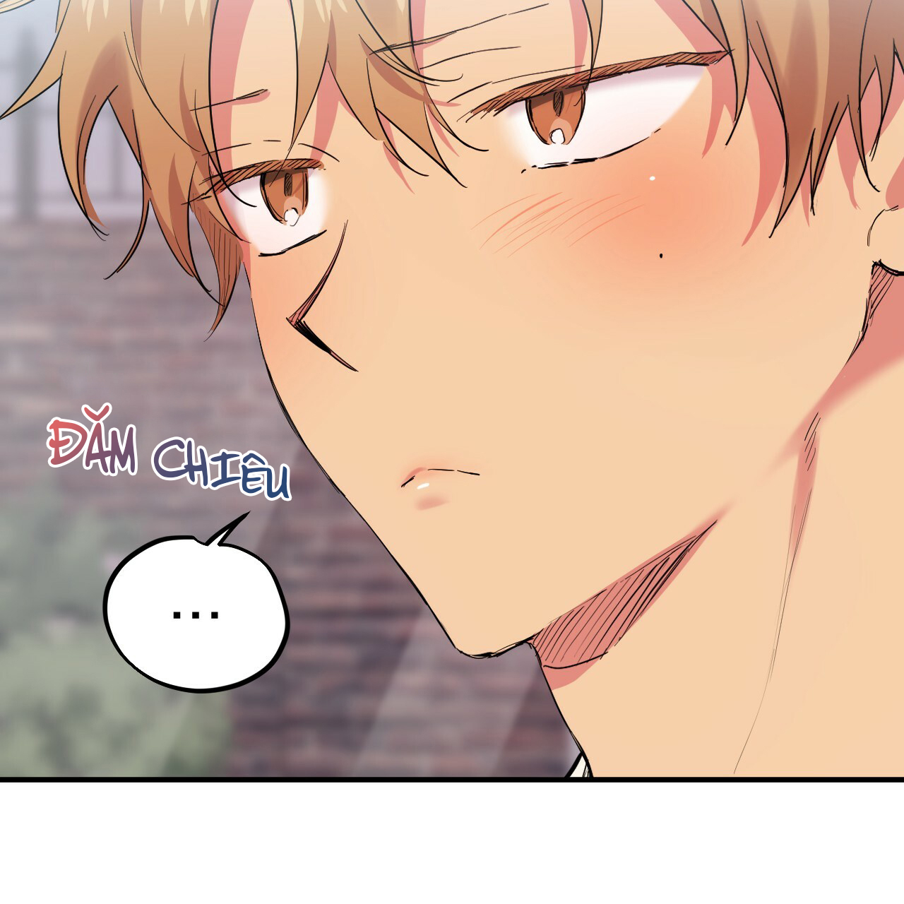 những chú thỏ của hapypy chapter 10 59