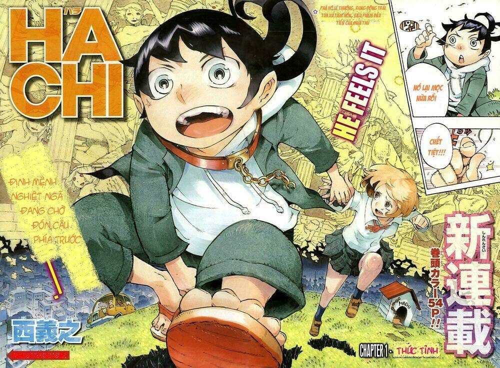 hachi chapter 1 3