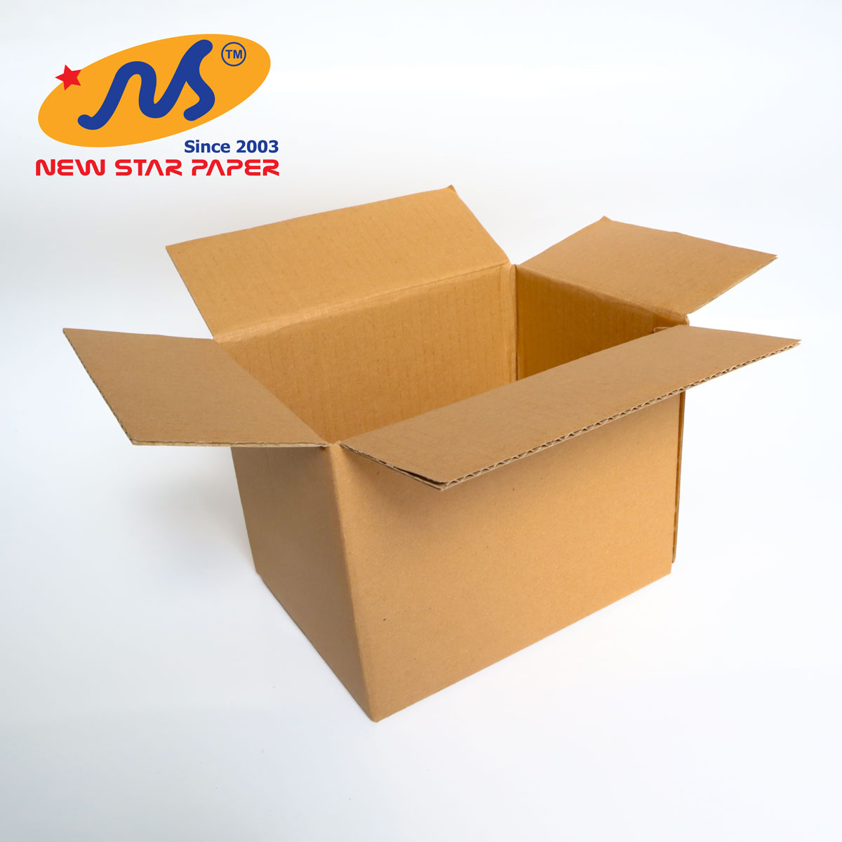 20x15x15 - Combo 10 thùng giấy carton