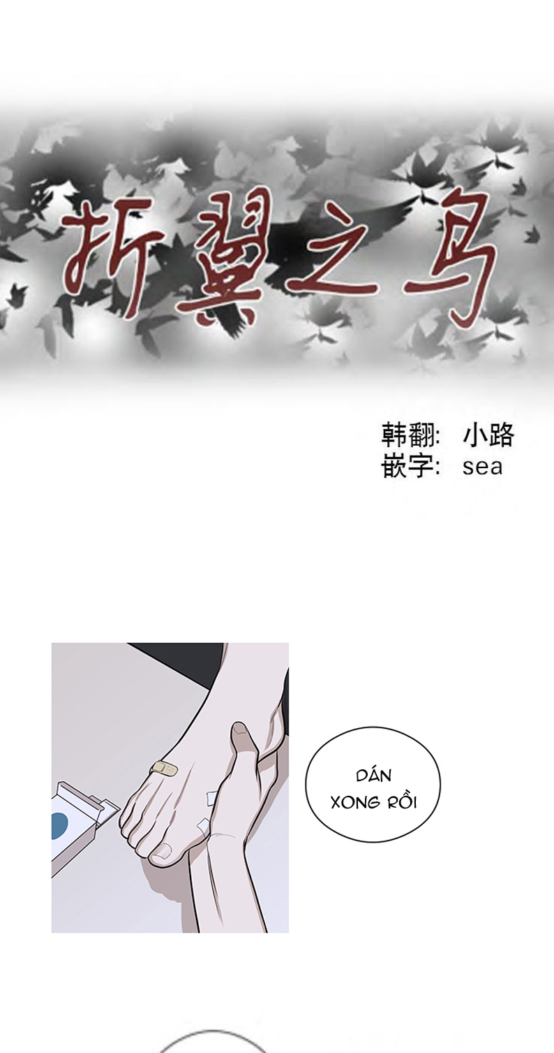 the wing chapter 6 37