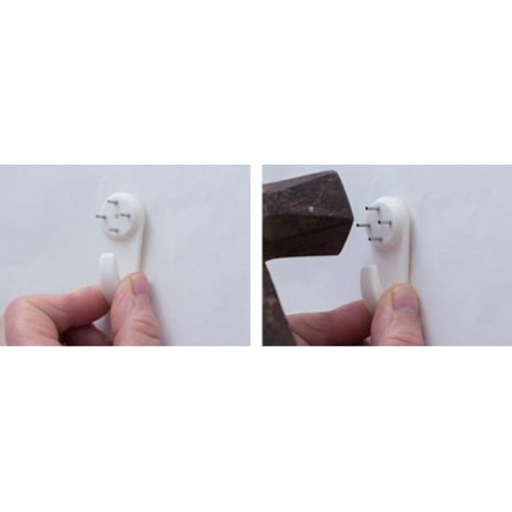 8x Tường Treo Dụng Cụ Bào Kính Thủy Canh Bình Vật Có Nồi Terrarium Bóng 10 Cm