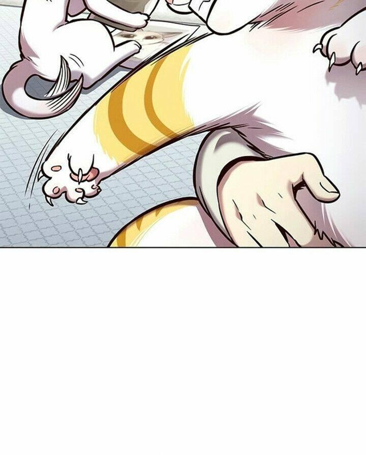 biến thân thành mèo chapter 200 24