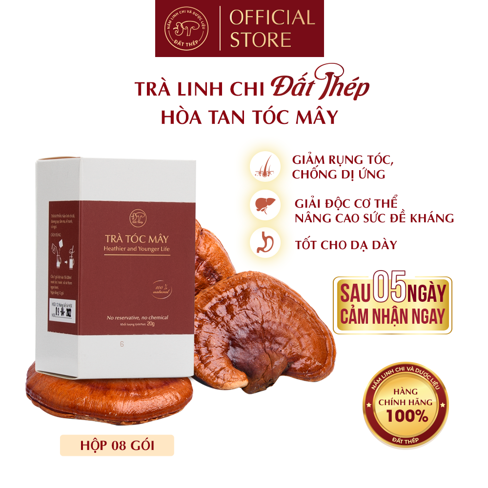 Trà Nấm Linh Chi Đất Thép Hòa Tan Tóc Mây 15 gói - Chống rụng tóc - Cân bằng nội tiết 