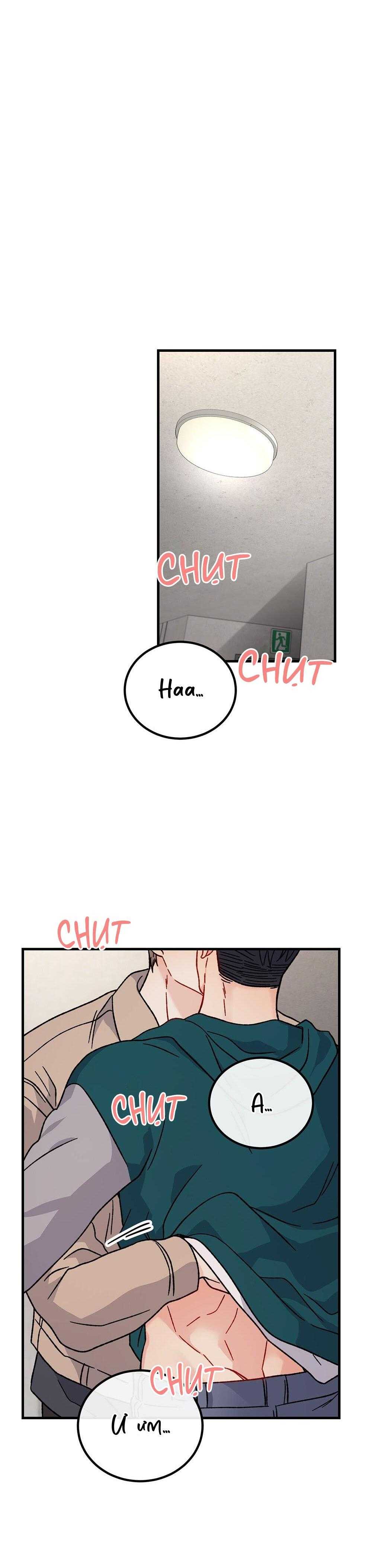 cậu không phải là gu của tôi chapter 33 3