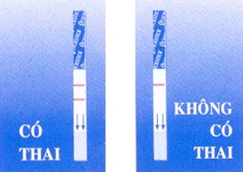 Bộ 3 hộp Que thử rụng trứng Powertest 15 test 2