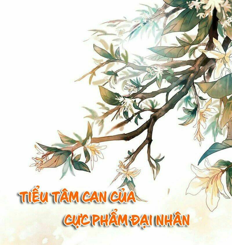 tiểu tâm can của cực phẩm đại nhân chapter 20.2 2
