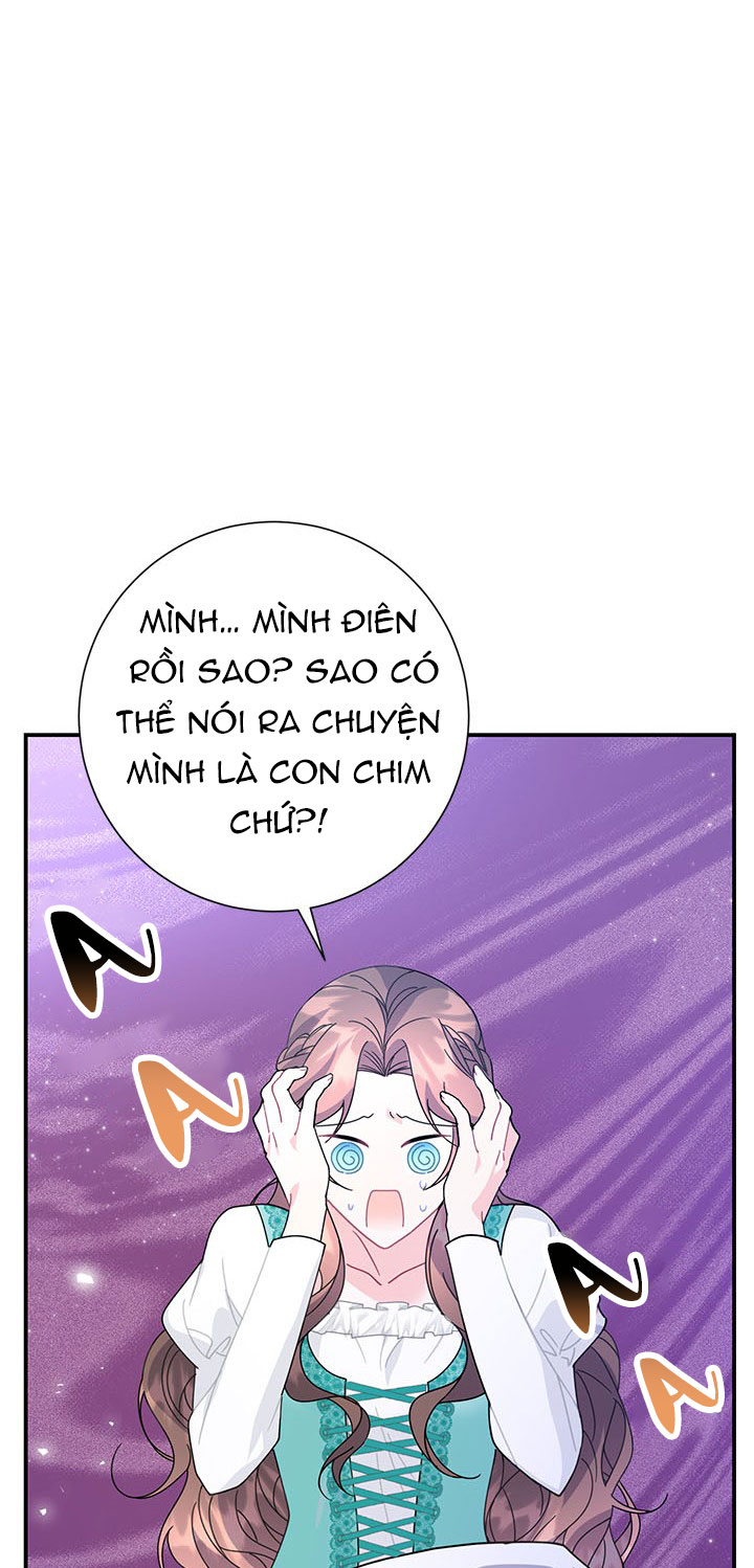 công chúa của loài chim chapter 53.1 15