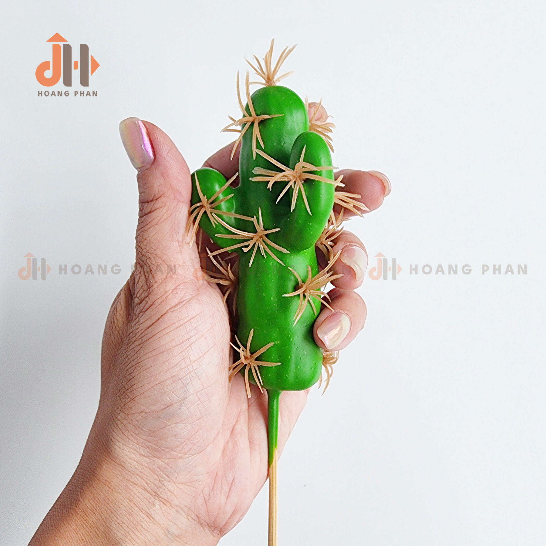 Trụ xương rồng ống vĩnh cửu trang trí