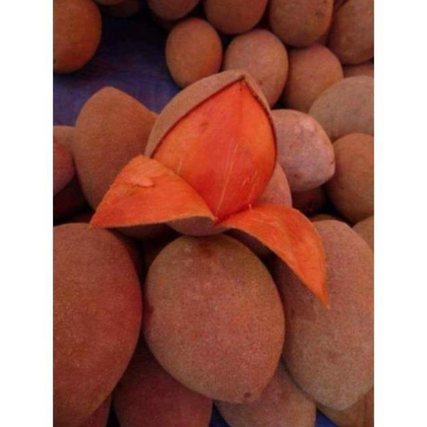 Sản phẩm HỒNG XIÊM RUỘT ĐỎ KHỔNG LỒ