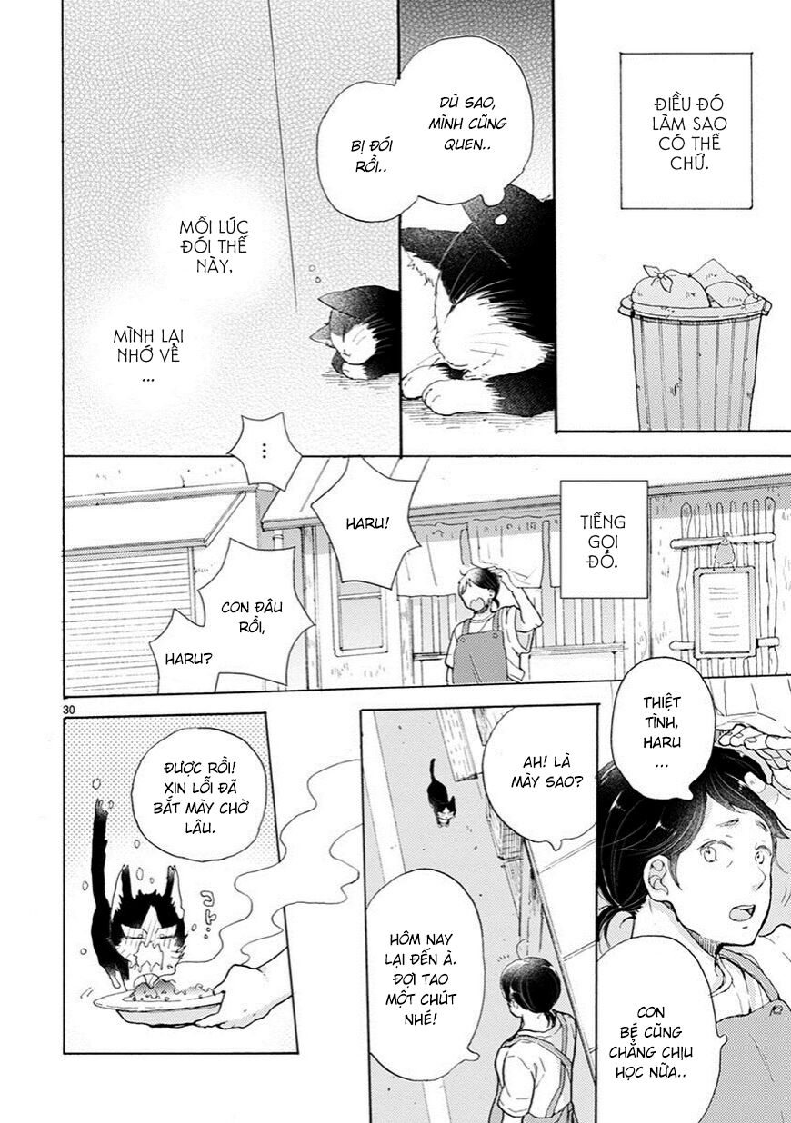 doukyonin wa hiza, tokidoki, atama no ue chapter 2.5 4