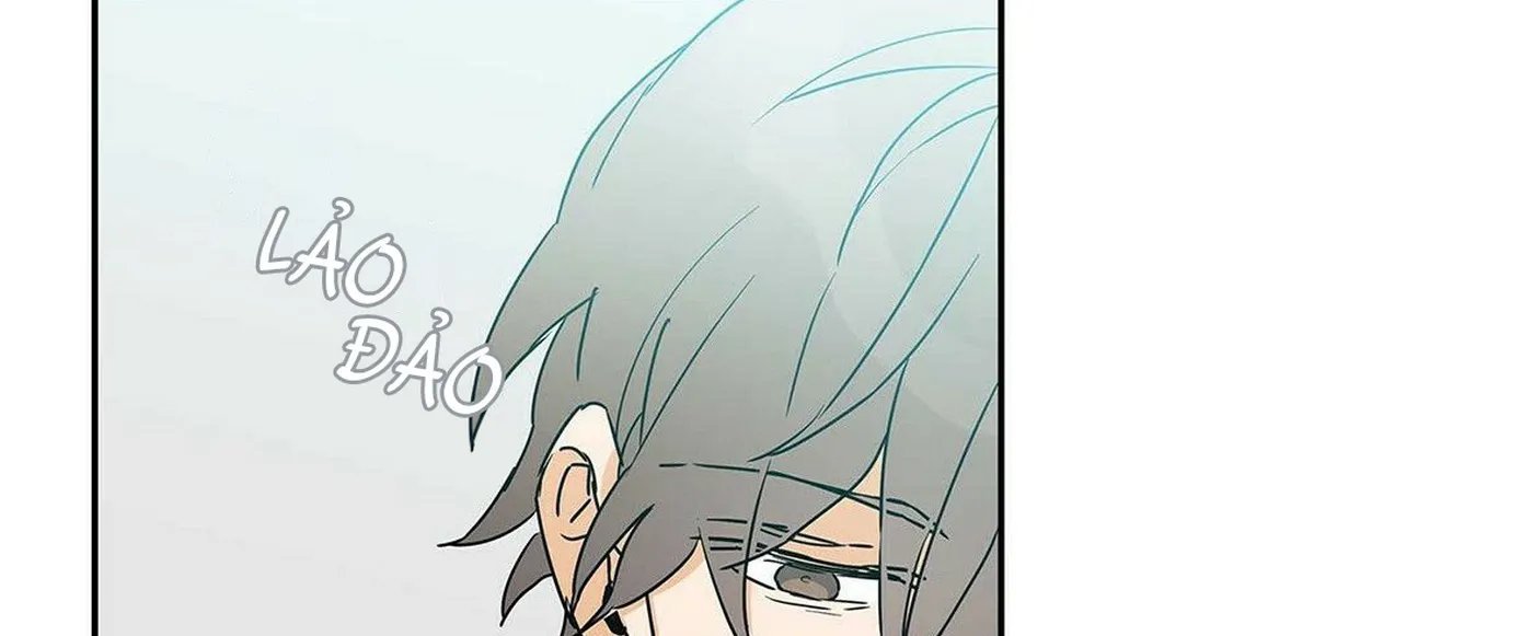 guide cấp b chapter 5 167