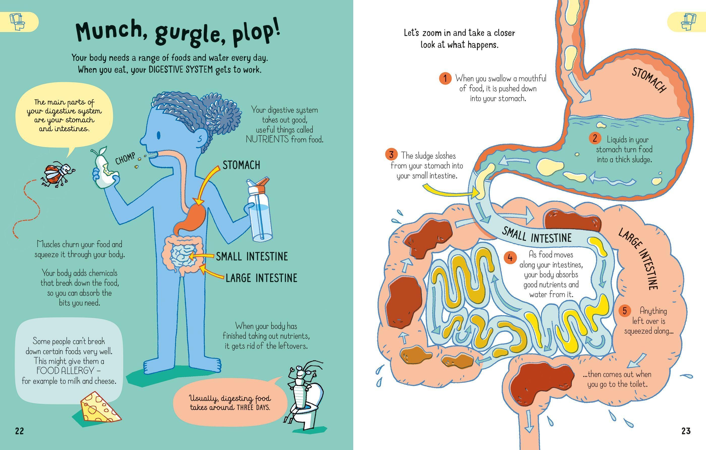 Sách ngoại văn: All You Need To Know About Your Body By Age 7