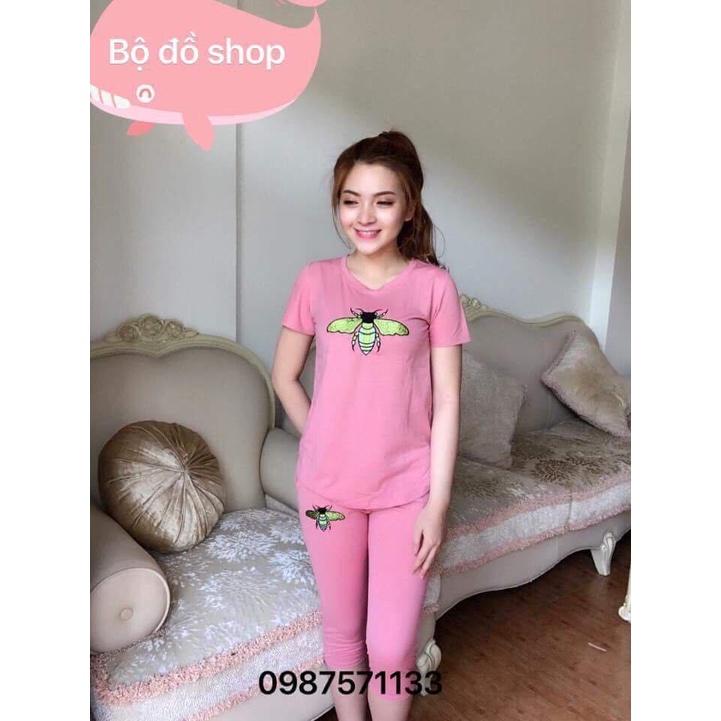 3 BỘ ĐÒ NỮ MẶC NHÀ VẢI COTTON ĐẸP DÀY MỊN