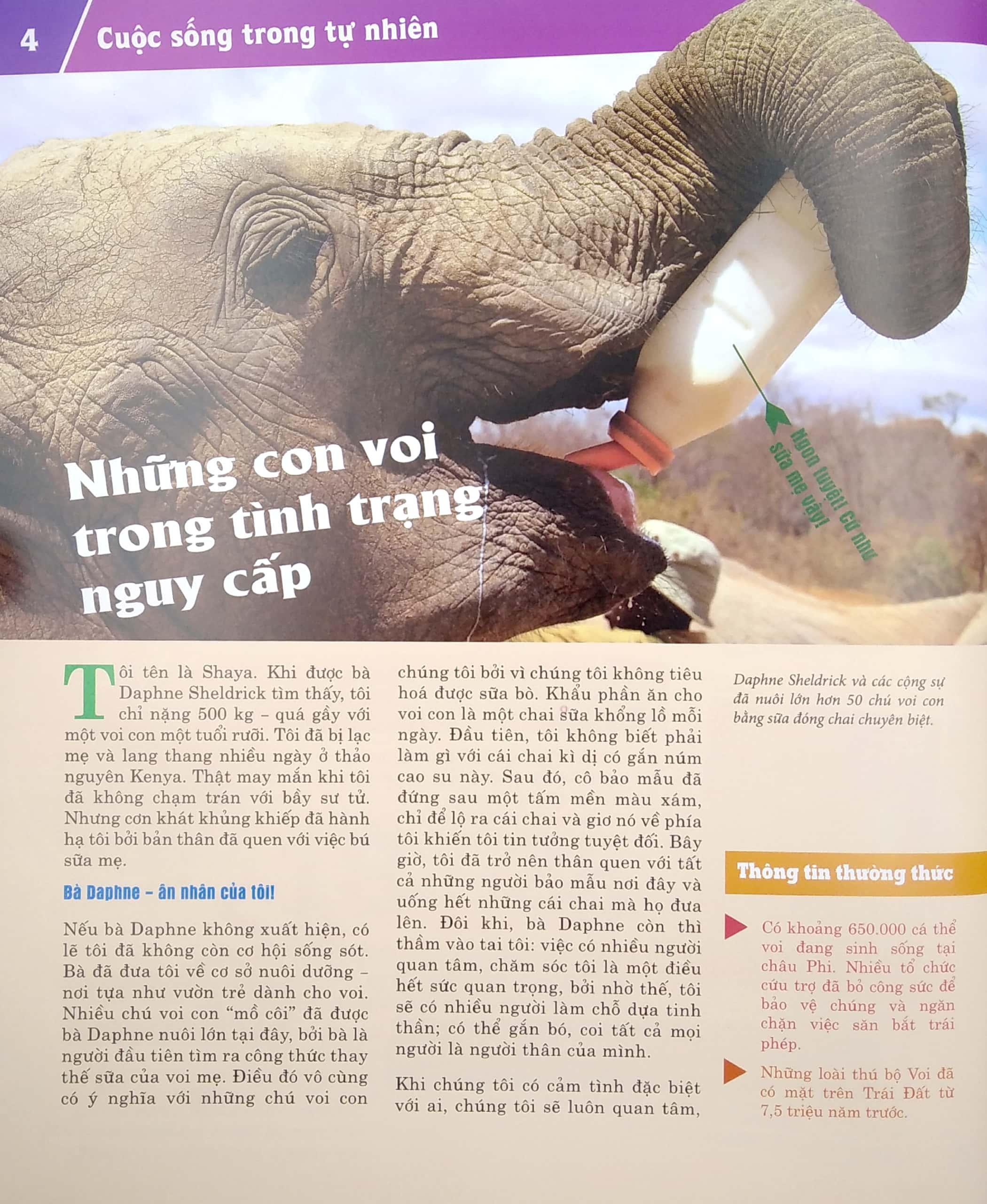 Thế Nào Và Tại Sao - Động Vật Hoang Dã Cần Được Bảo Vệ Trước Nguy Cơ Tuyệt Chủng