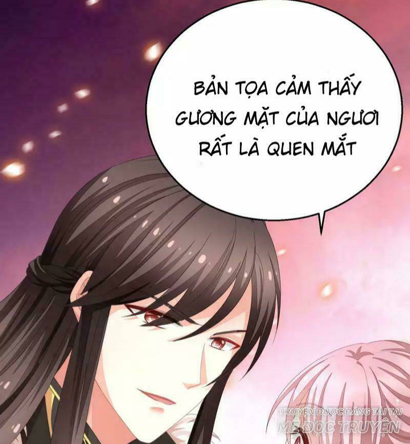 mau xuyên hướng dẫn tự cứu vật hi sinh nữ phụ chapter 4 16