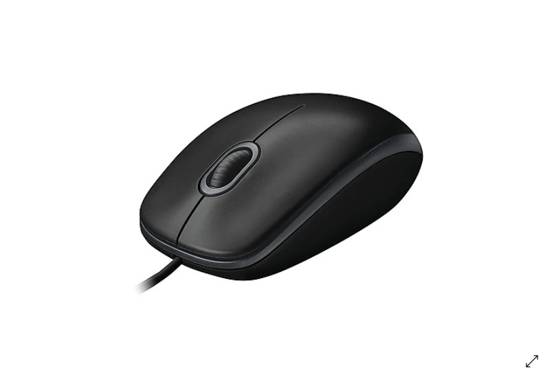 Chuột vi tính B100