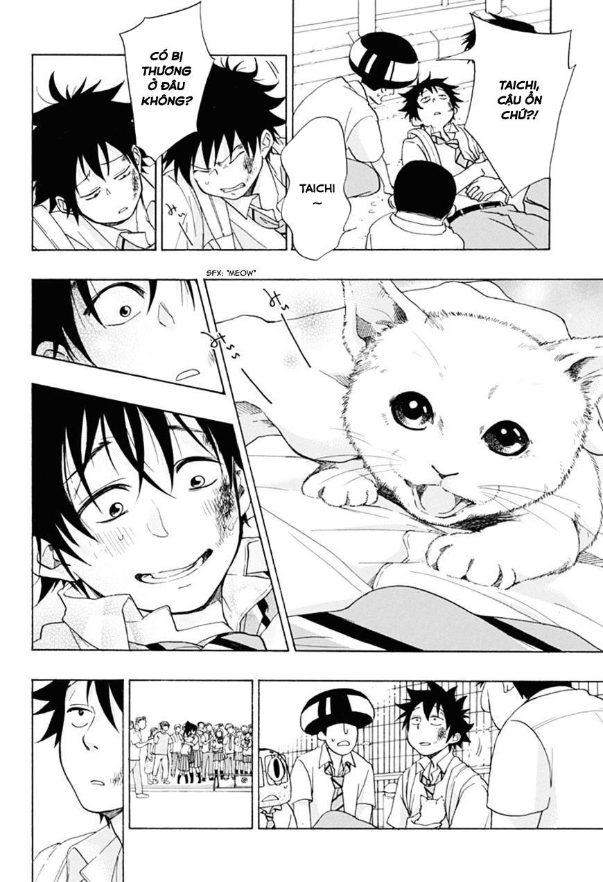 tình yêu thuần khiết của tuổi trẻ chapter 12 38