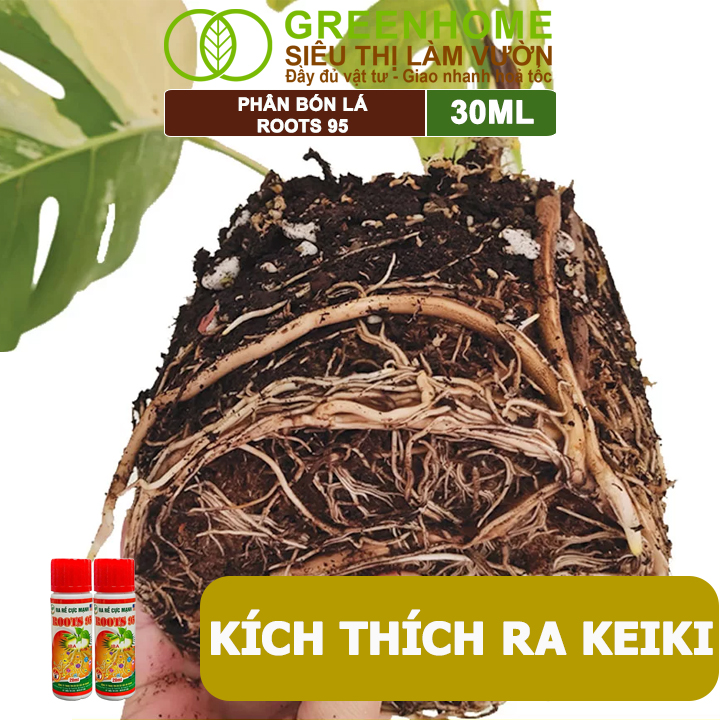 Phân Kích Rễ Cực Mạnh ROOTS 95, GreenHome, Chai 30ml, Kích Ra Rễ Cực Mạnh Chuyên, Cho Hoa Lan