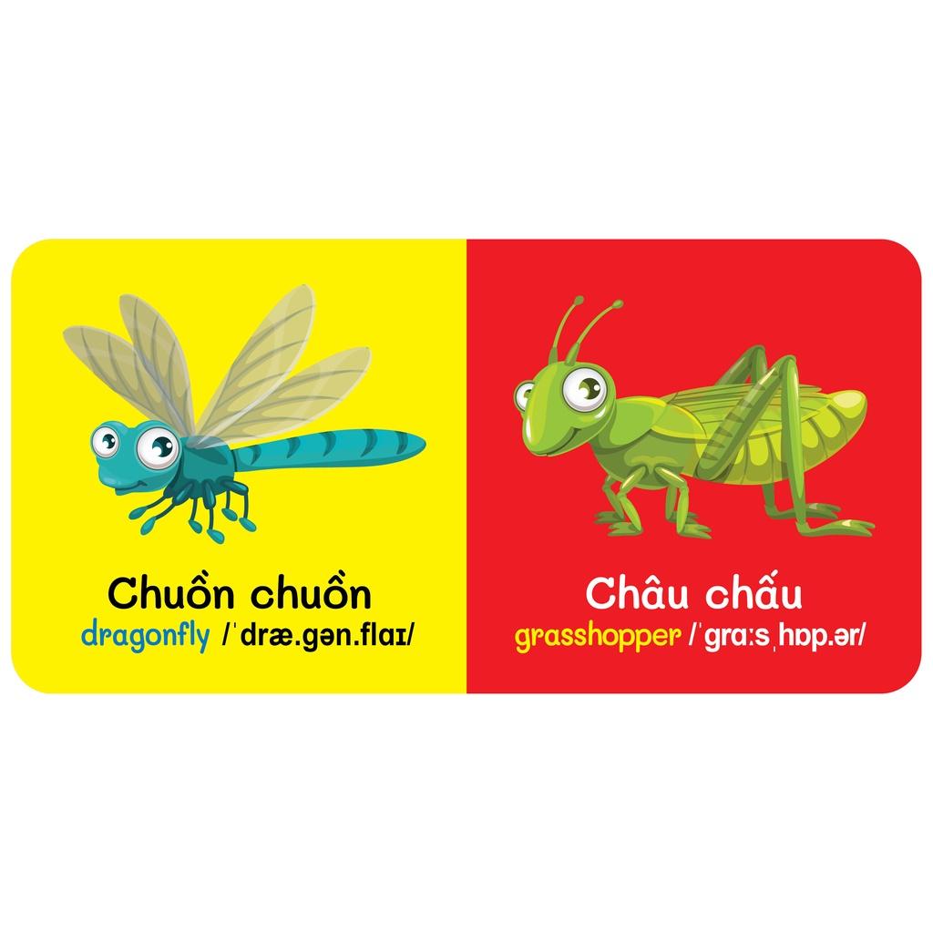 Sách - Baby'S First Picture Dictionary - Từ Điển Bằng Hình Đầu Tiên Của Bé - Côn Trùng - Insects (Bìa Cứng)