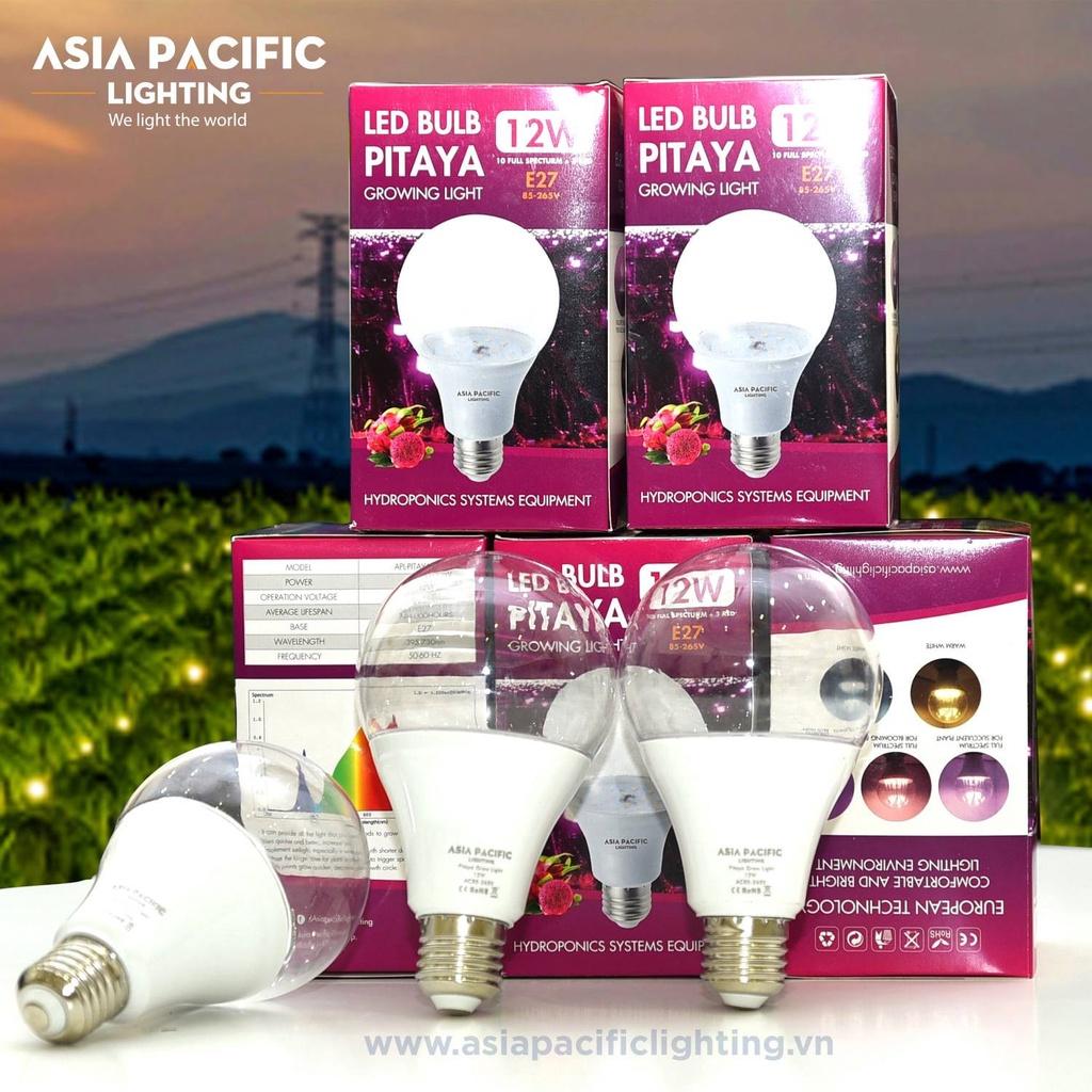 Đèn LED Bulb 12W thanh long