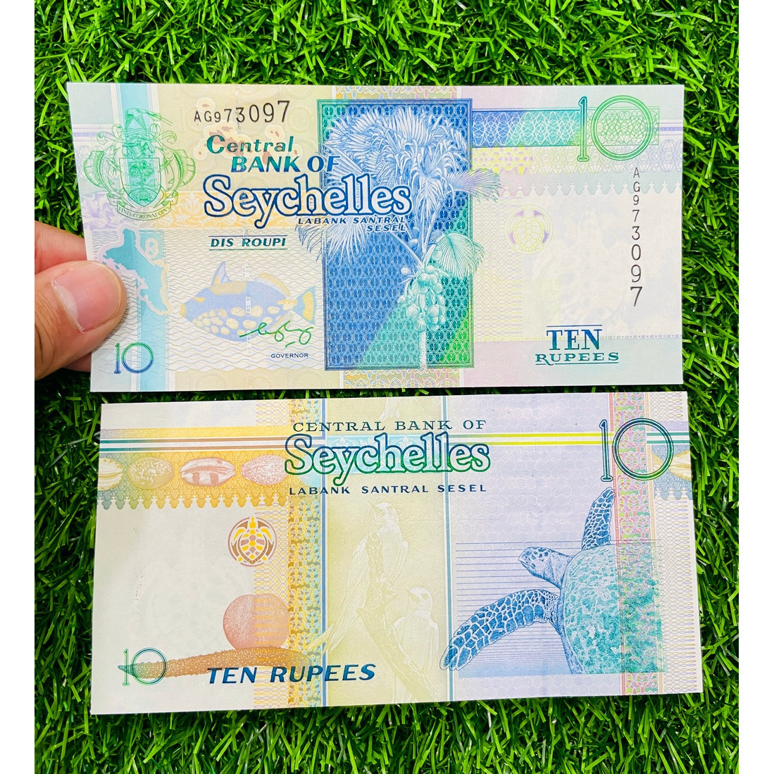 Tiền Seychells 10 Rupees hình con rùa phong thuỷ, tiền châu Phi, mới 100% UNC, tặng túi nilon bảo quản