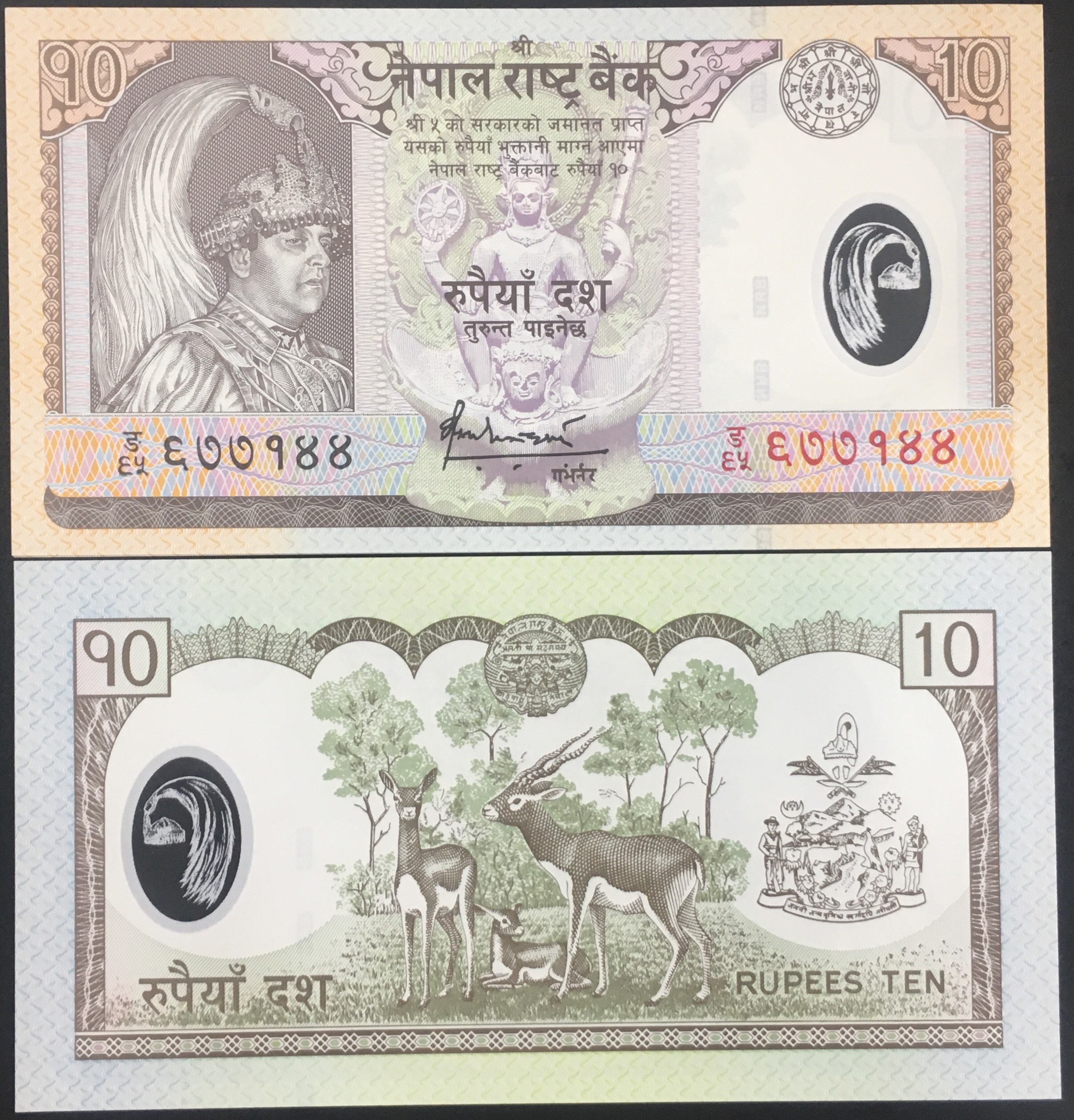 Tờ 10 Rupees của Nepal bằng polyme sưu tầm ,  châu Á , Mới 100% UNC
