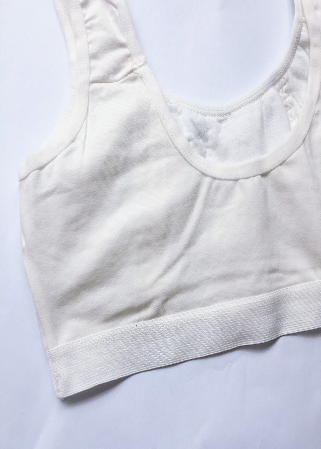 Combo 2 áo lá học sinh cotton đơn giản ALHS06