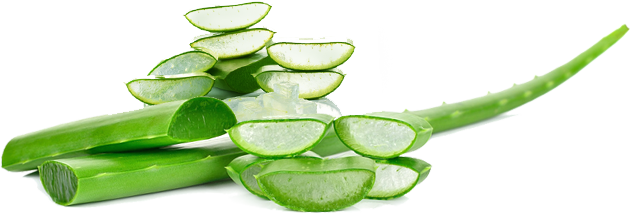 Gel Bôi Trơn Âm Đạo Giúp Se Khít FirstEver 50ml 3