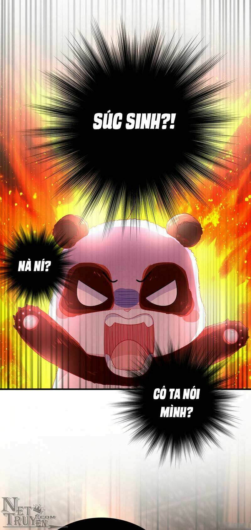 thiên thần gấu trúc muốn được ôm chapter 43 5