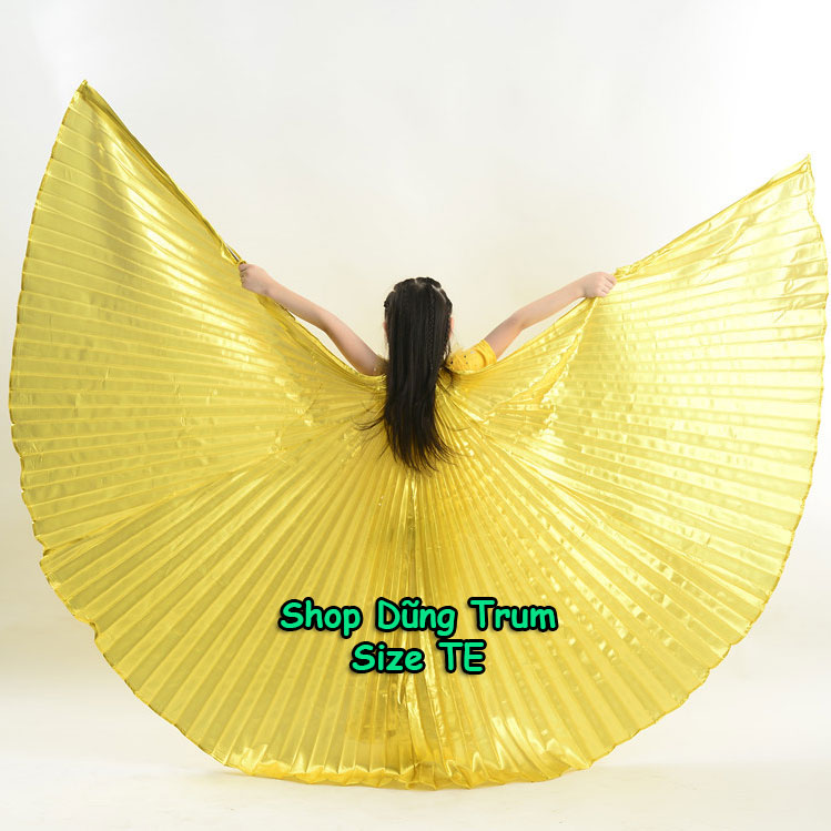 Cánh múa belly dance, cánh múa bụng siêu đẹp