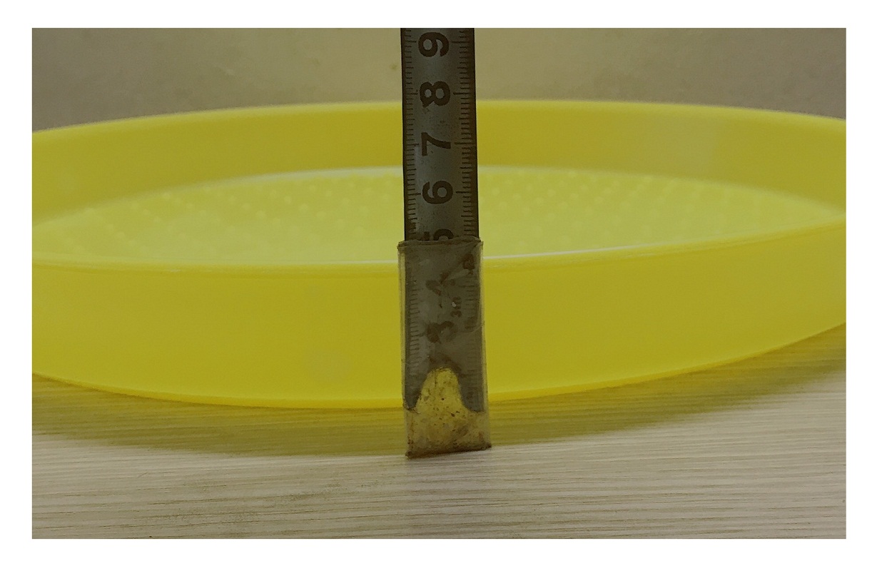 10 Máng, Khay ăn Cho Gà Con KT 39x4,5 cm - Đĩa nhựa đa năng làm máng ăn cho gà, chim, ổ cho chó mèo,....!
