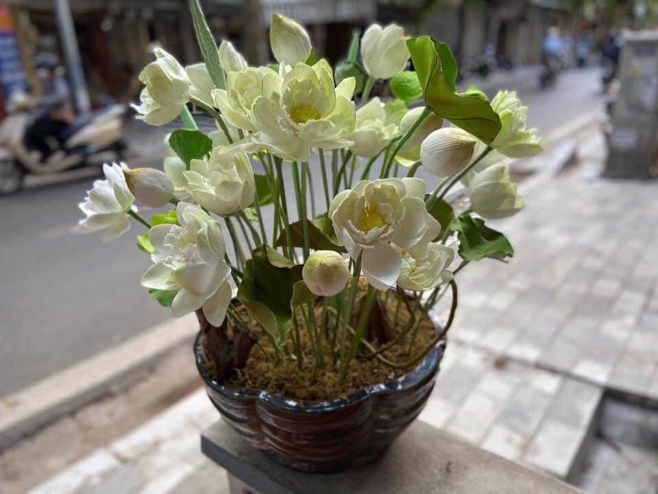 Khuôn silicon nhấn tạo hình cánh hoa sen cho hoa đất sét Nhật Bản, bánh kem