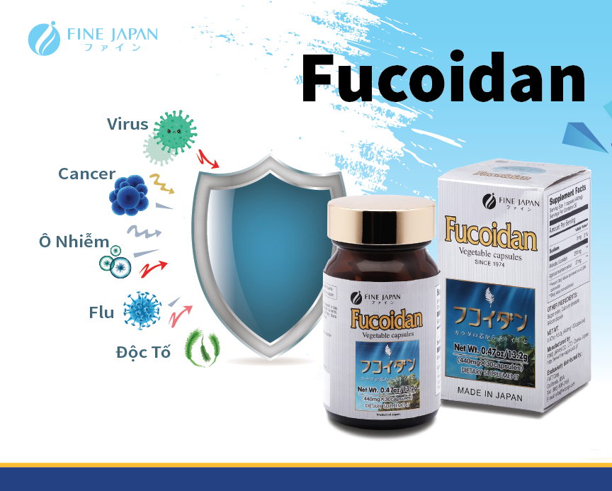 Viên uống hỗ trợ điều trị ung thư Fine Japan Fucoidan