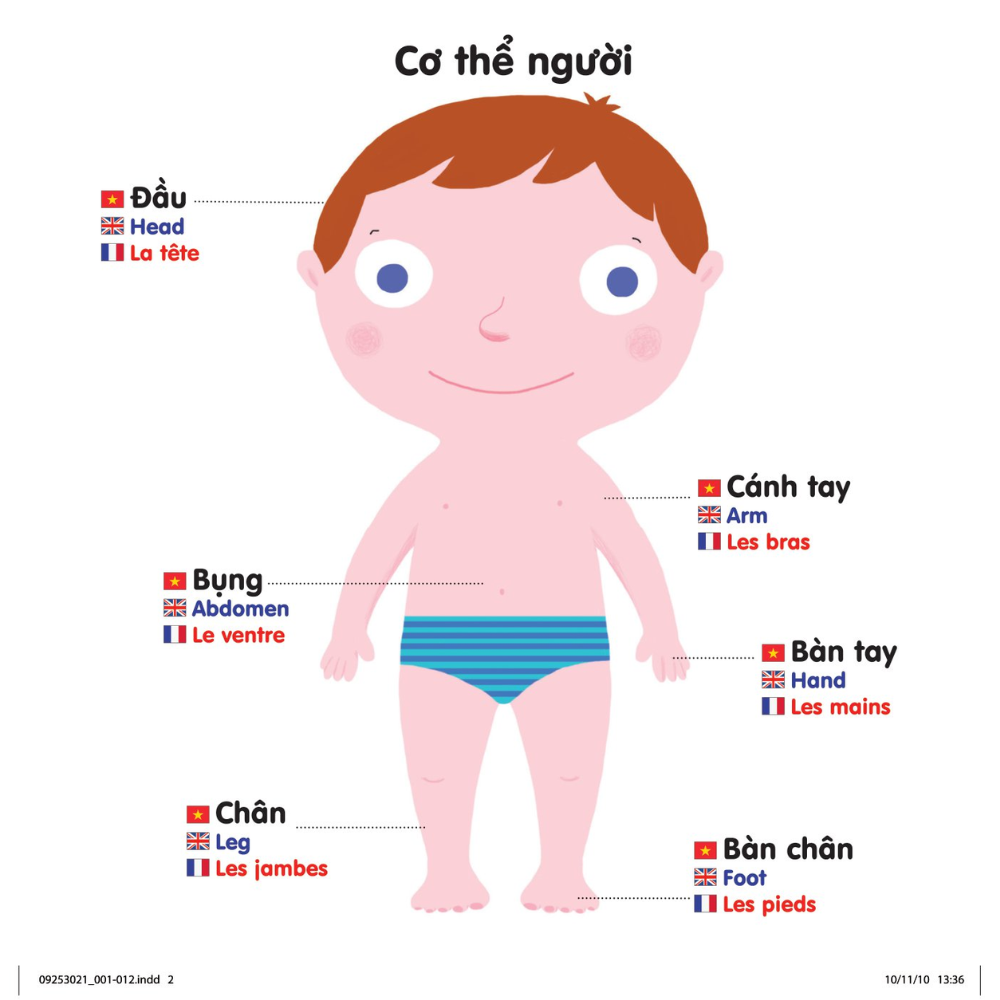 Chuyển Động Thông Minh Đa Ngữ Việt - Anh - Pháp Cơ Thể Người – The Body – Le Corps
