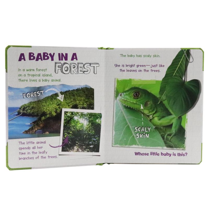 Sách ngoại văn: Active Minds Explorers - Meet Baby Iguana