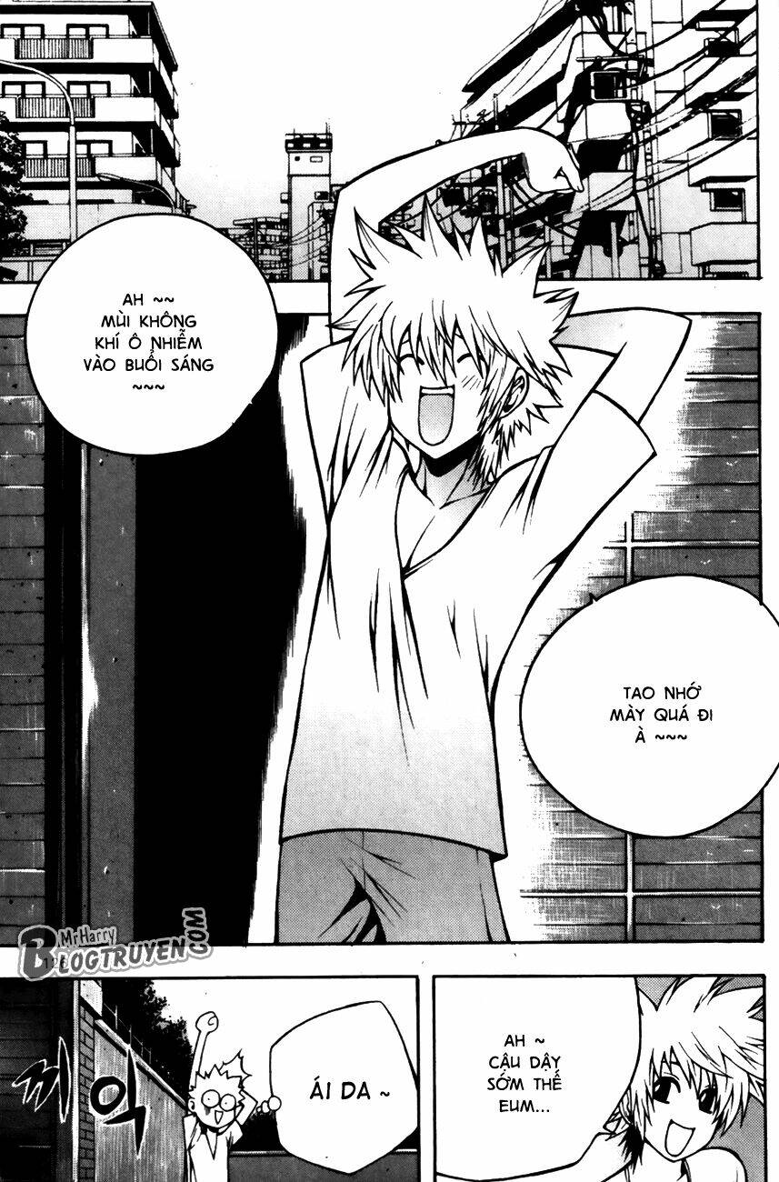 zippy ziggy chapter 84 3