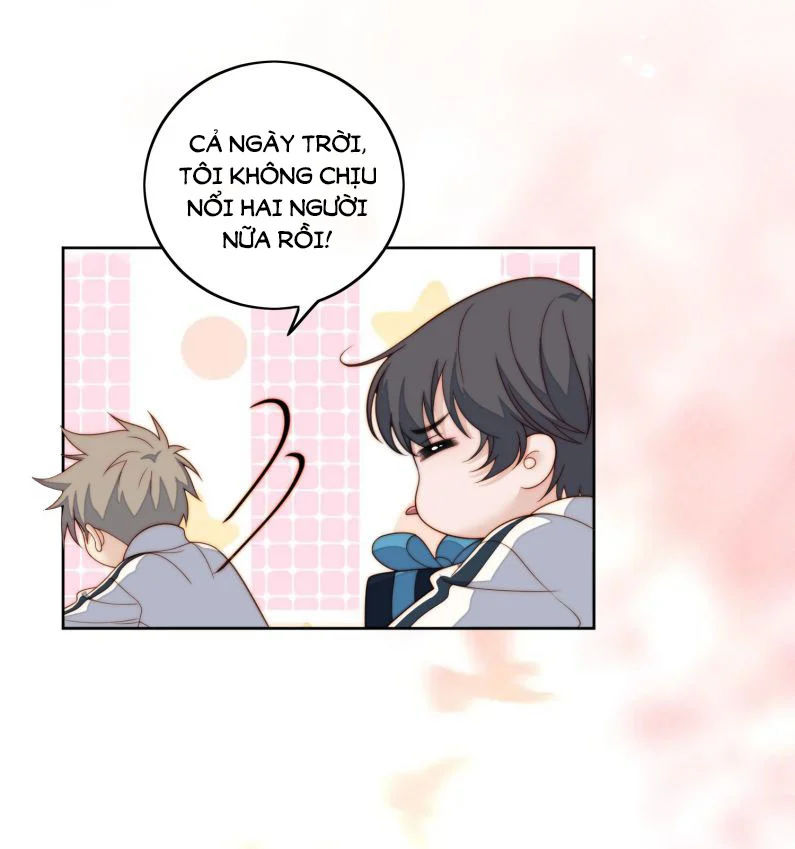 tôi bảo bạn cùng bàn đánh cậu chapter 72 16