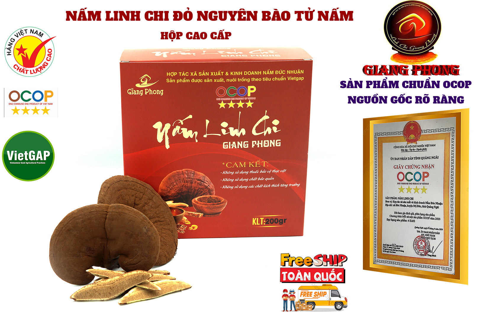 Nấm Linh Chi Đỏ Giang Phong Sản Phẩm Bồi Bổ Đạt Chuẩn OCOP 4 Sao Sản Xuất Theo Tiêu Chuẩn Nghiêm Ngặt Của Vietgap , Sản Phẩm Đạt Chứng Chỉ An Toàn Vệ Sinh Thực Phẩm Do Tỉnh Quảng Ngãi Cấp Phép