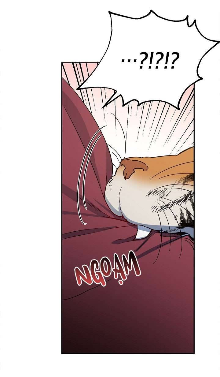 phương pháp trở thành con gái của người hùng bóng đêm chapter 40 END SS1 23